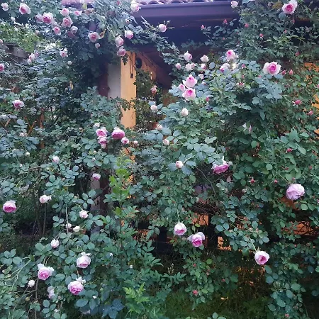 The Bloomsbury Writers House イン 2*